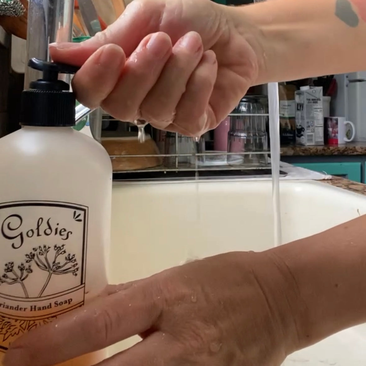 Hand Soap Bundle